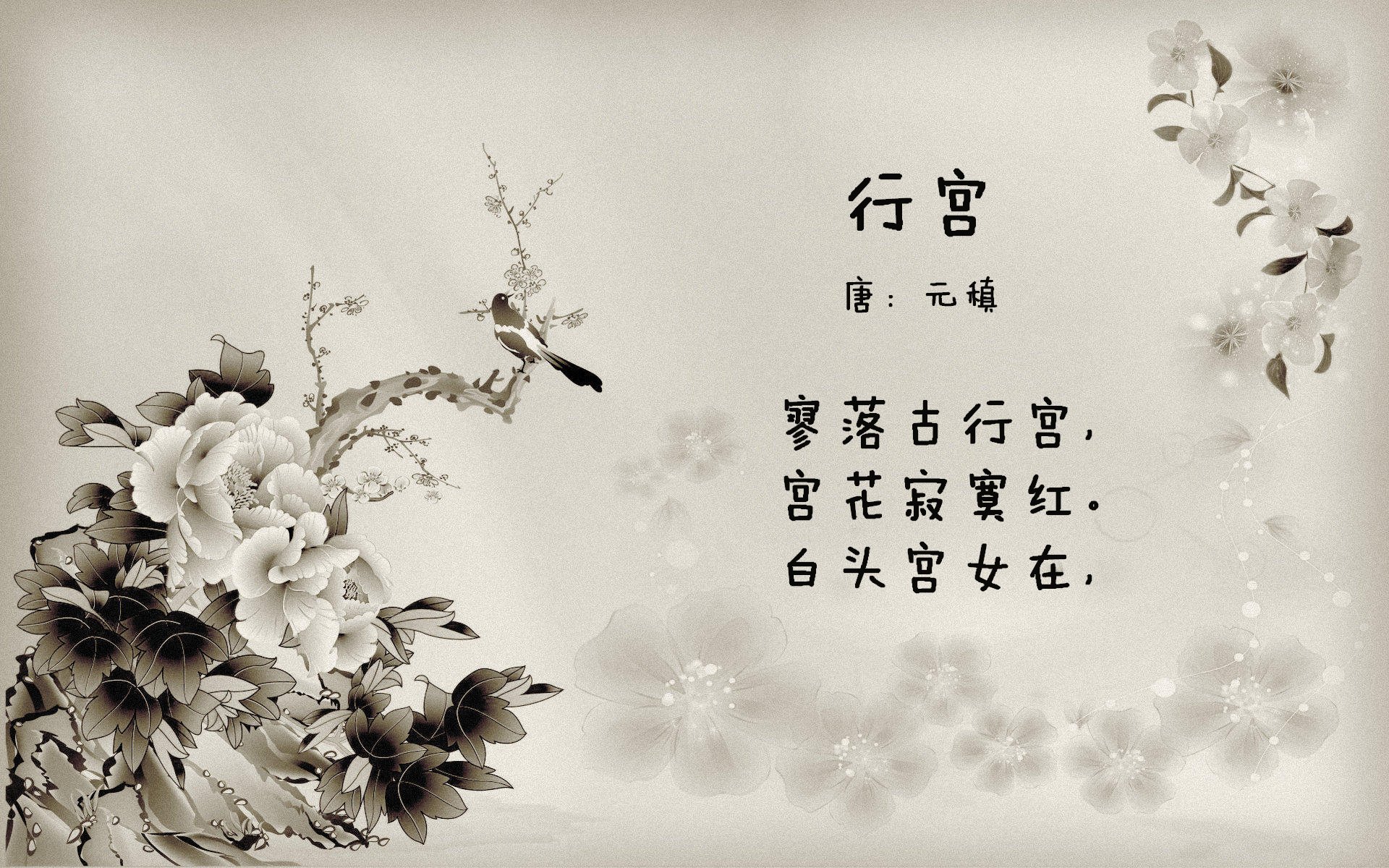 Panda Sports-日本马术协会推出青少年马术培训计划，培养未来骑手。，日本马术金牌