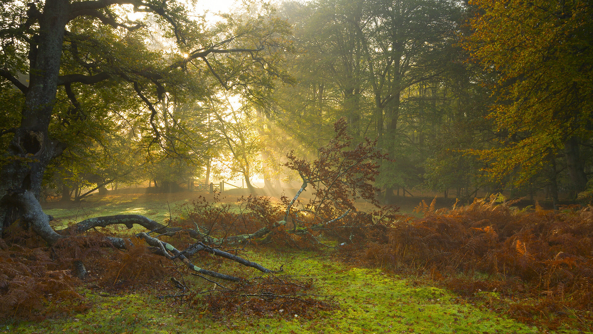 赛季中最激烈的对决:火爆场面不容错过,对决模式赛季奖励