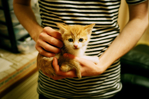 熊猫直播-逆转奇迹：哪些球队成功实现逆袭，燃爆赛场？，2021逆转