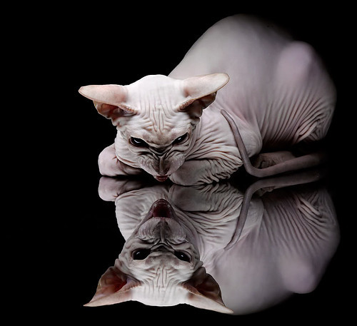 逆转奇迹:神奇的欧冠“绝地反击”集锦,足球逆转奇迹