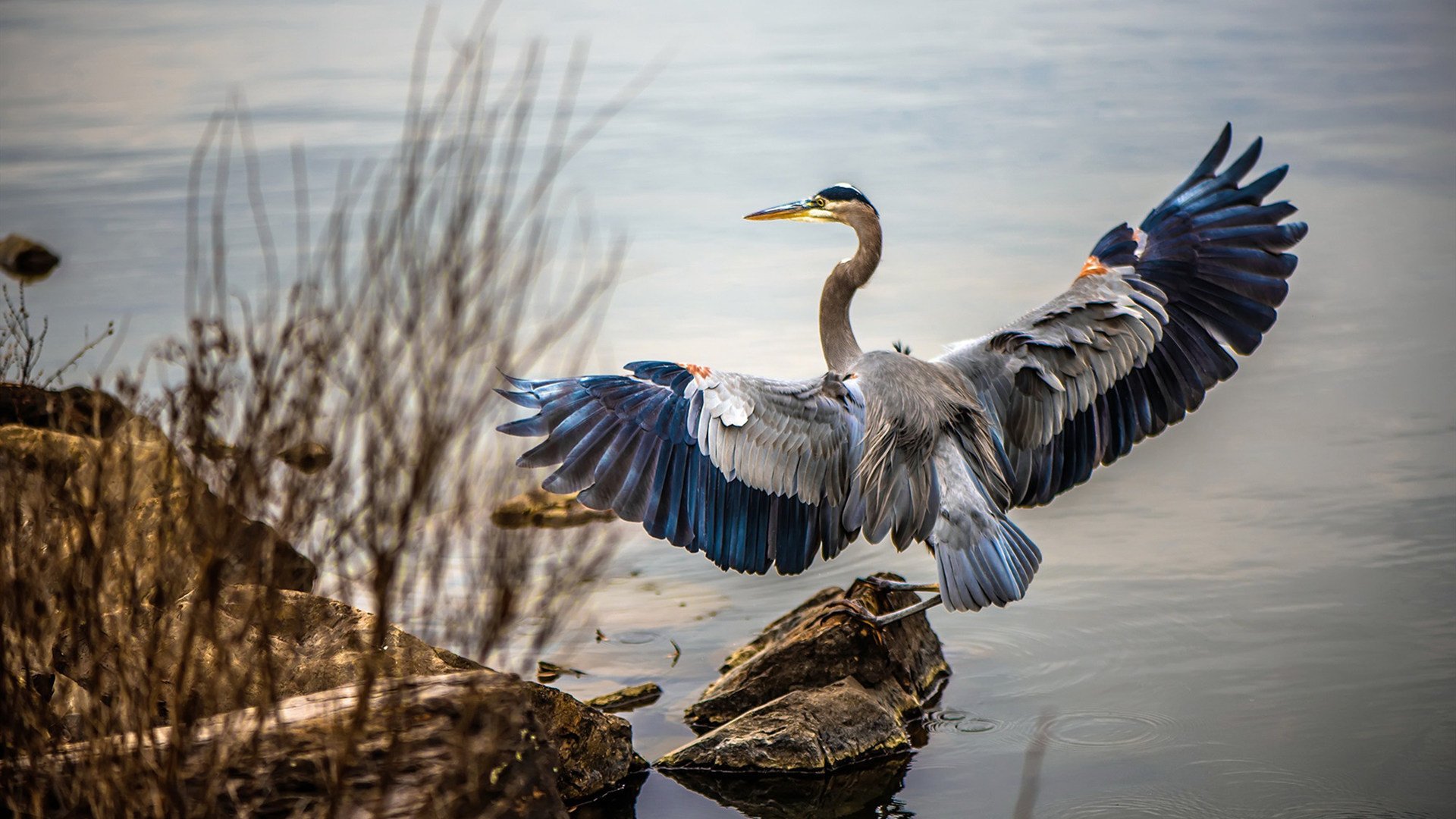 熊猫体育网站入口-南安普顿主场迎战热刺，保级关键战，南安普顿对热刺历史比分