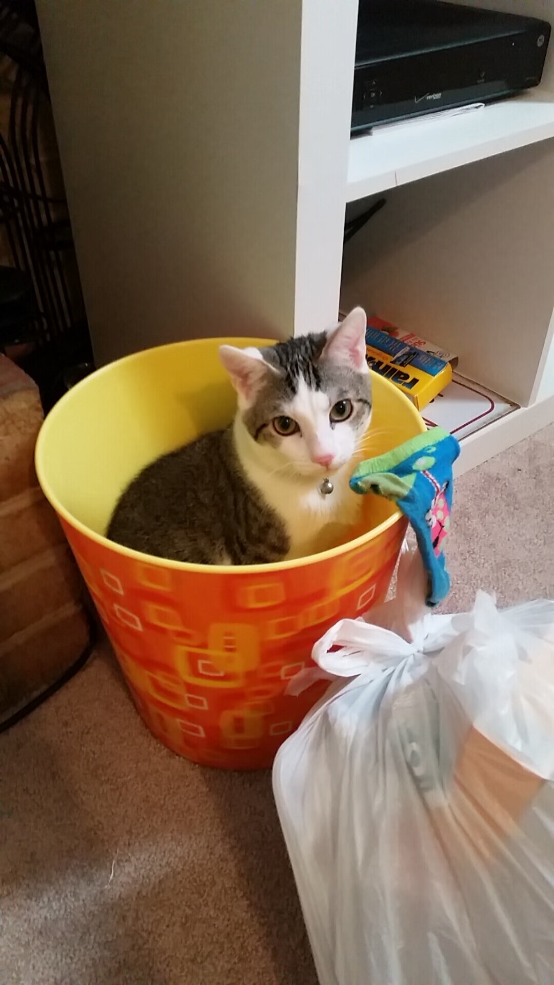 逆转奥运跆拳道赛最后1秒反击得分，奥运会跆拳道wtf