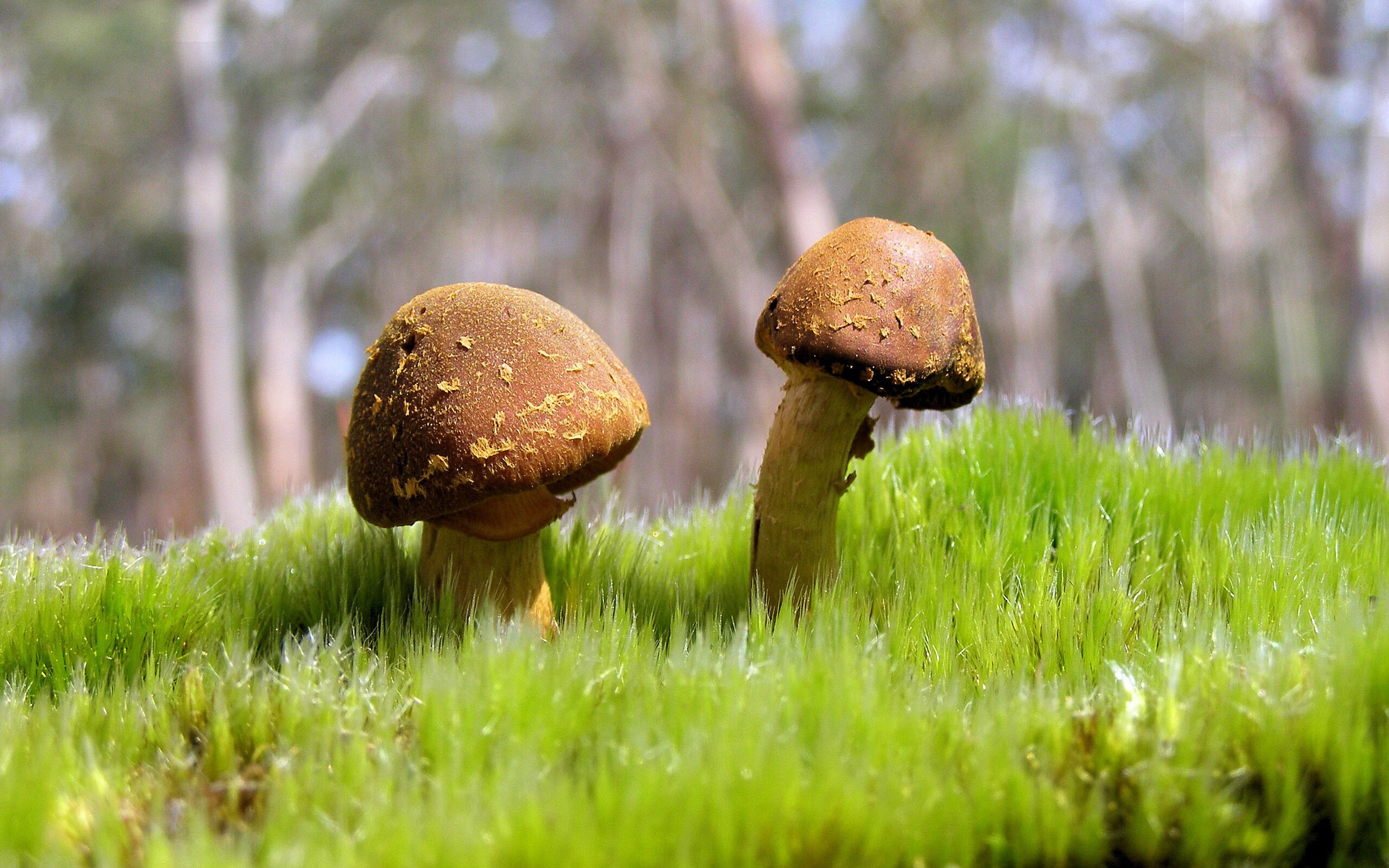 熊猫体育app-中国男篮强化体能训练备战国际赛事，中国男篮体育