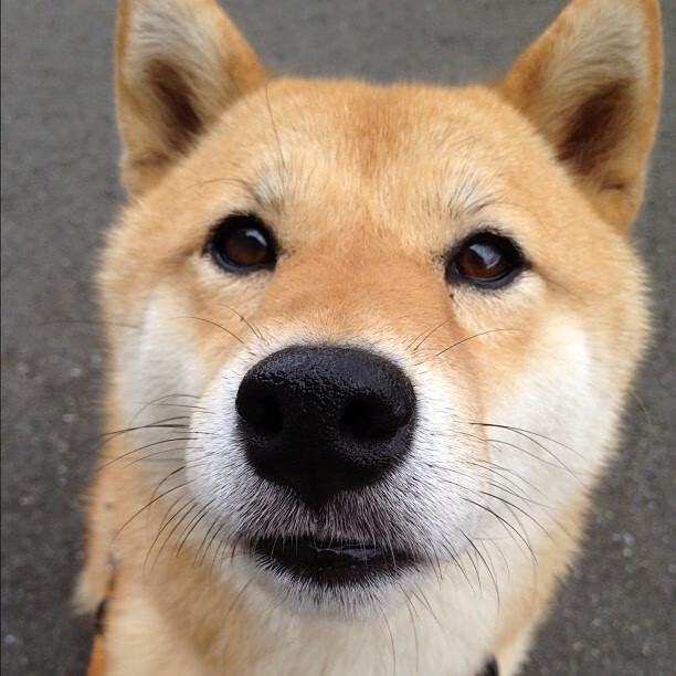 后防漏洞多次被对手利用,后防线是什么意思