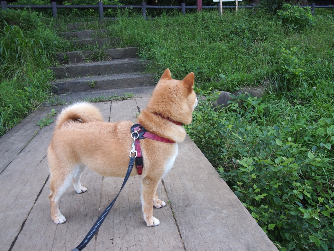 熊猫体育在线登录-国际热身赛中国队夺冠 技术打法备受称赞，国际热身赛赛程