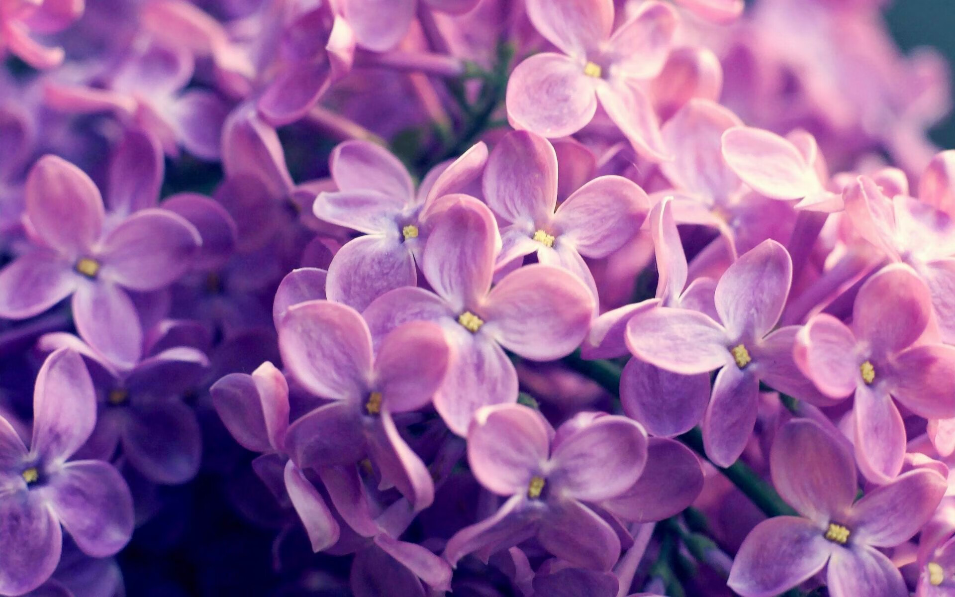 熊猫体育官网-女子接力四棒配合默契，女子接力第四棒是谁