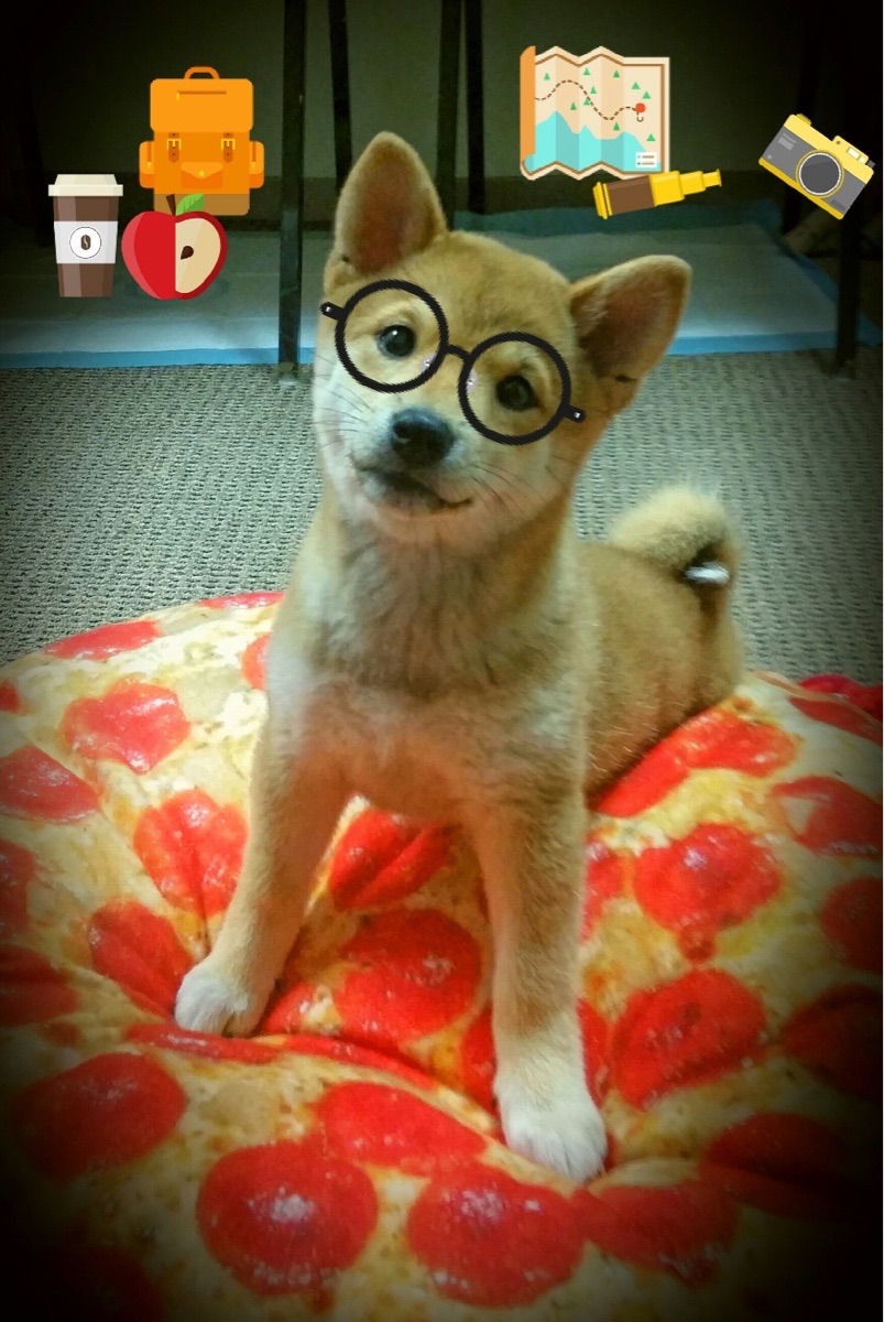 熊猫体育在线-地方联赛与高校联赛互通机制建立加强竞赛资源整合，比赛联赛