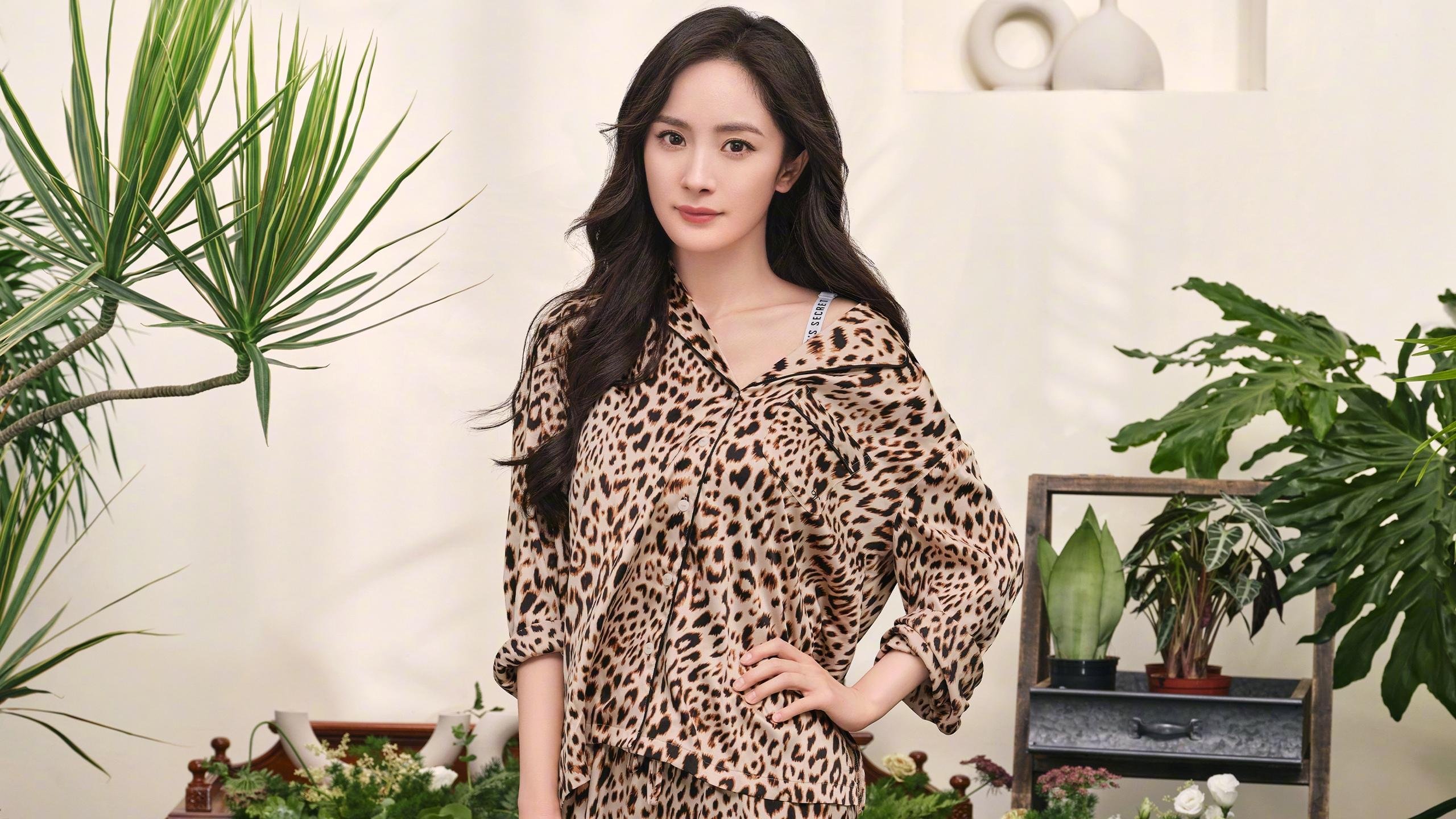 新西兰男子橄榄球队稳定表现,能否迎来新一波巅峰?,新西兰橄榄球世界排名